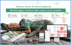 SafeBed System