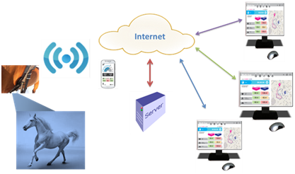 ipaddoc-1